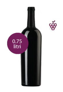 BARBERA D'ALBA DOC - Vino Rosso Della Casa Personalizzato con Etichetta Brandizzata VETRO 75cl - immagine 3