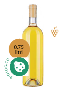 BENEVENTO FALANGHINA IGP-BIO - Vino Bianco Della Casa Personalizzato con Etichetta Brandizzata VETRO 75Cl - immagine 3