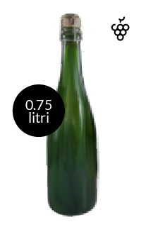 FRANCIACORTA SATÈN DOCG - Vino Della Casa Personalizzato con Etichetta Brandizzata VETRO 75cl - immagine 3