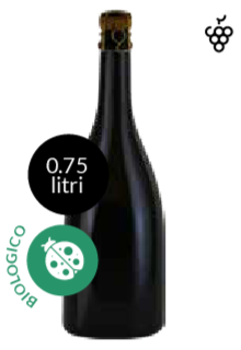 PROSECCO DOC TREVISO BRUT - Vino Della Casa Personalizzato con Etichetta Brandizzata VETRO 75cl - immagine 3